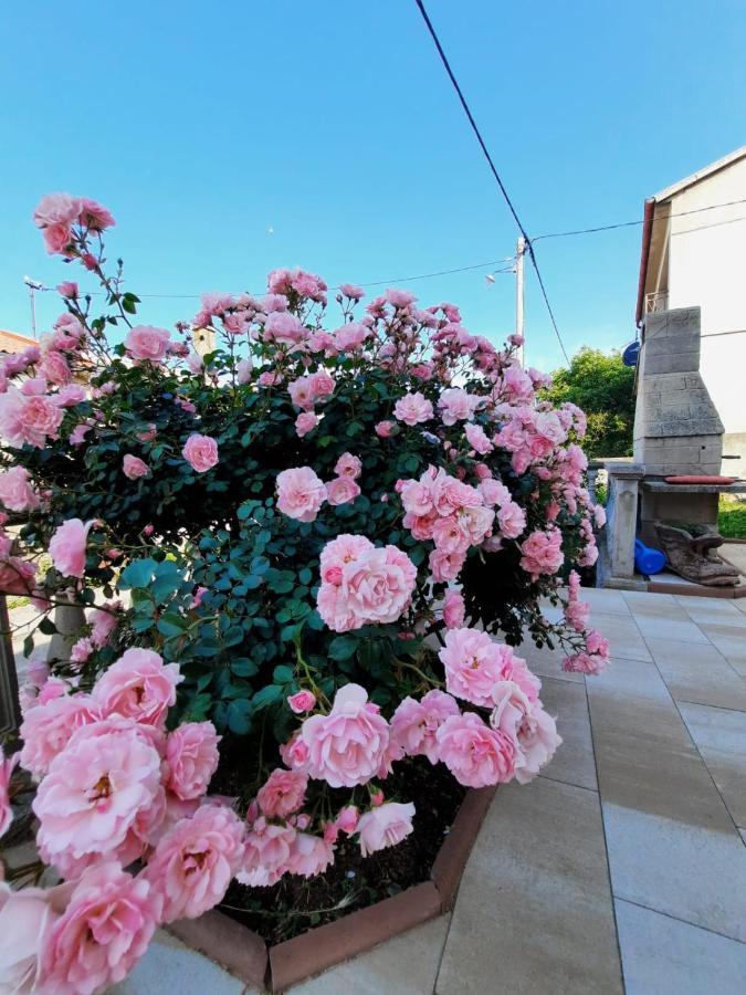 Lana 1 Hotel Сен Екстериор снимка